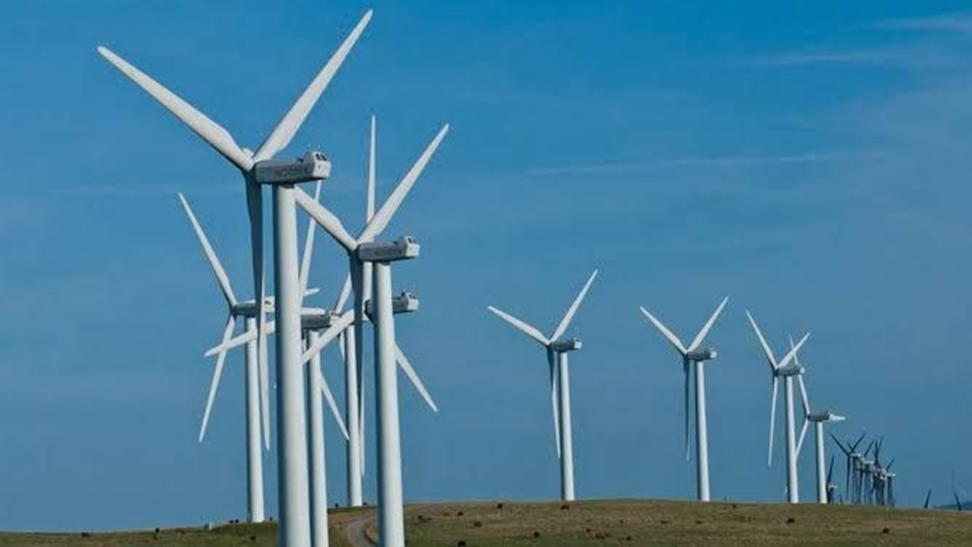 Winds of Change: How the UAE–Ethiopia Partnership Is Unlocking Ethiopia’s Renewable Potential