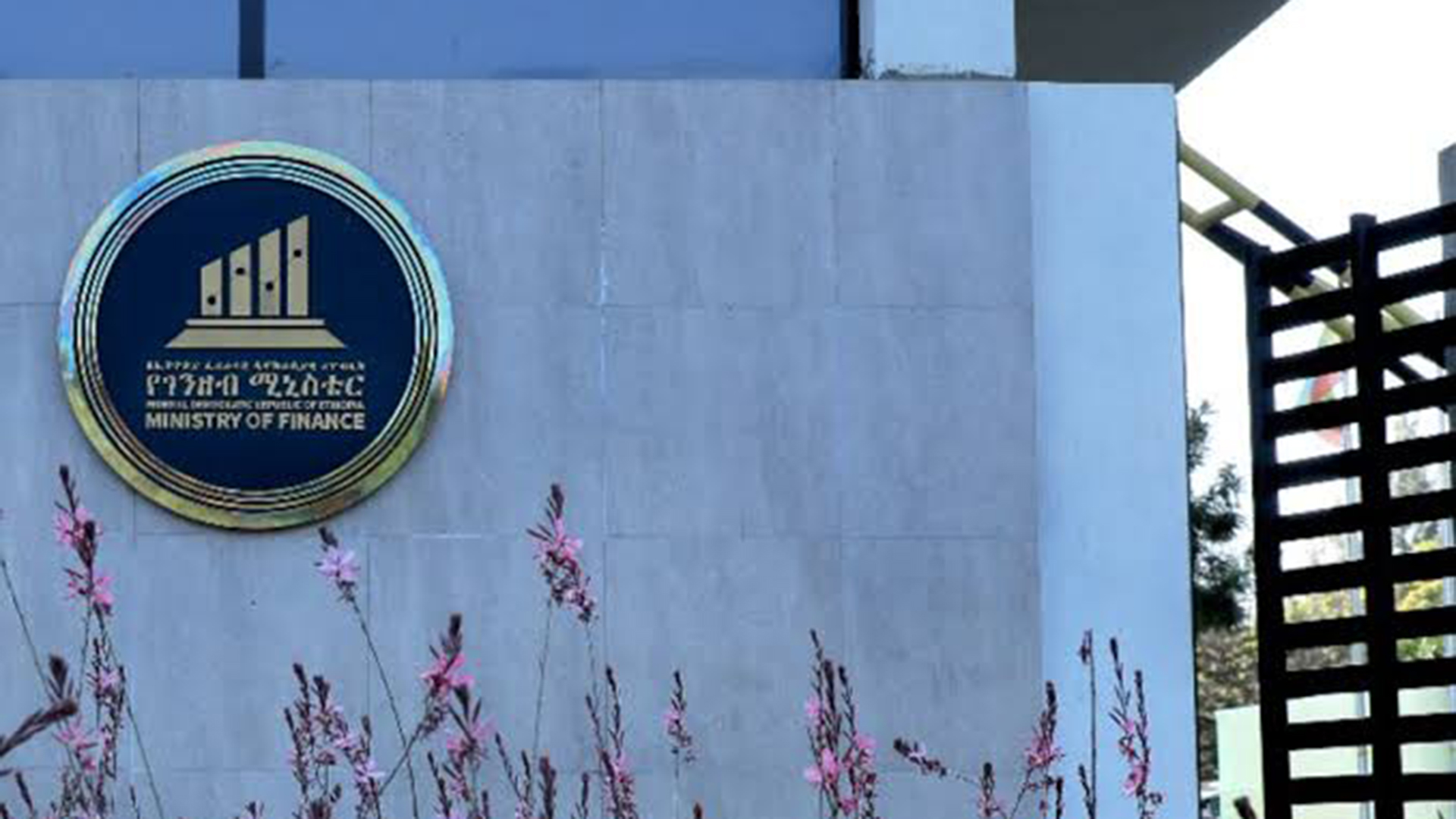 MoF allocates 73.23 billion birr to one-year T-Bills