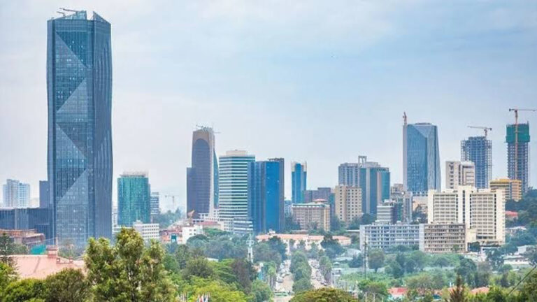 Major leadership changes announced in Ethiopia’s Sovereign Fund, EIC, and ECMA